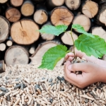 Ekologia w domu - biomasa do kominka